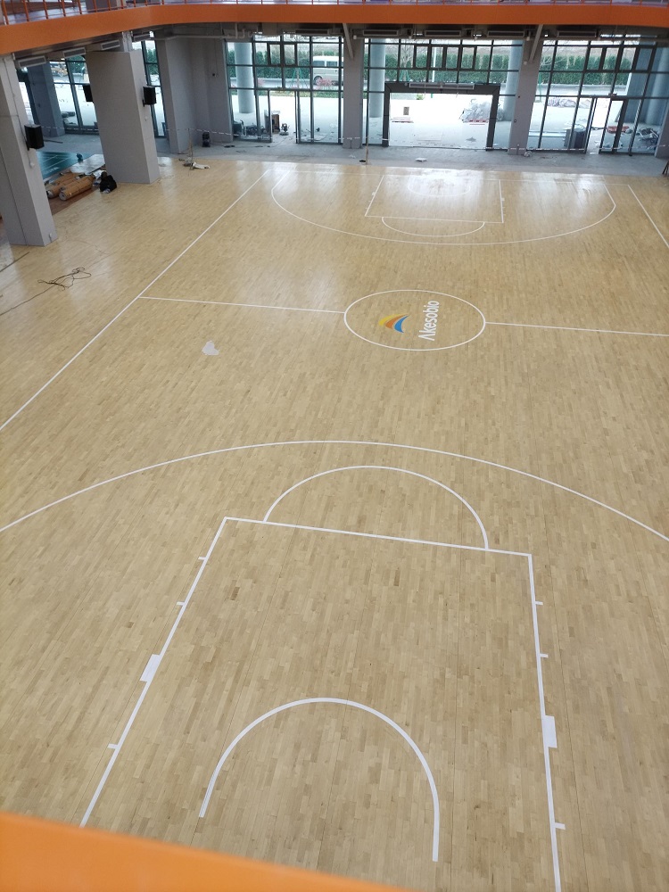 IMG_20240130_093609(1)(1)