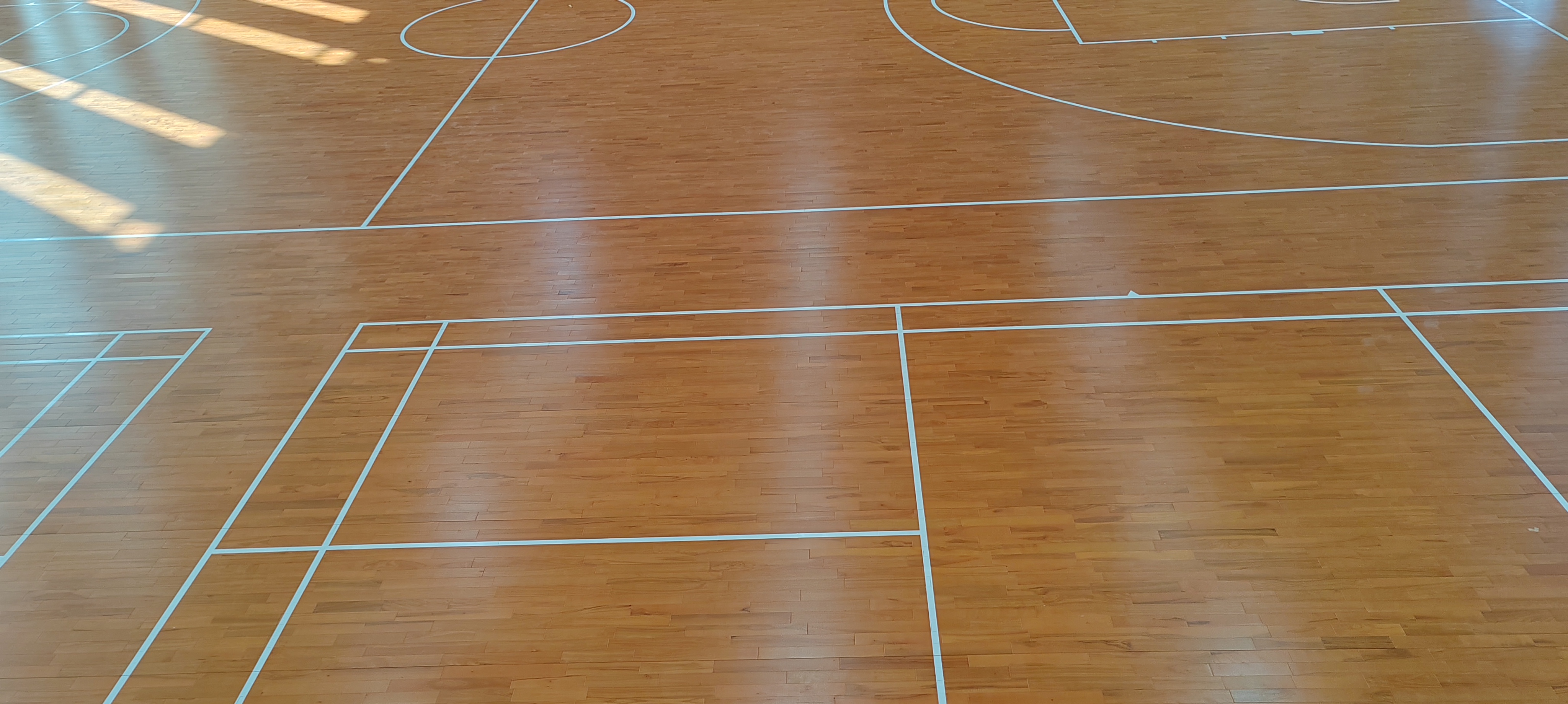 IMG_20231212_142836 IMG_20231212_142836